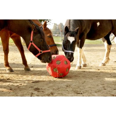 Futterspielball versch. Farben