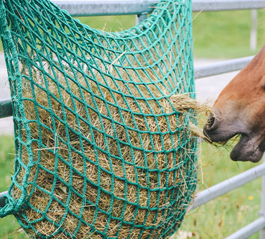 Heunetz für Pferde Heunetztasche  engmaschig   Futternetz  stabil 